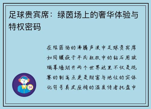 足球贵宾席：绿茵场上的奢华体验与特权密码